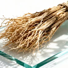Vetiver